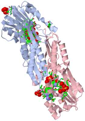 Image Biol. Unit 1 - sites