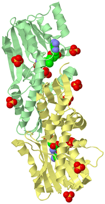 Image Biological Unit 2