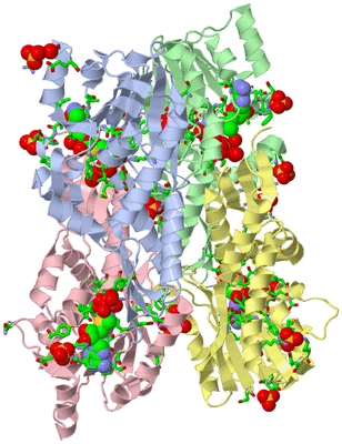 Image Asym. Unit - sites
