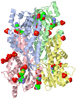 Image Asymmetric Unit