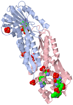 Image Biological Unit 1