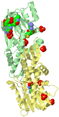 Image Biological Unit 2