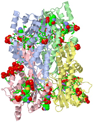 Image Asym. Unit - sites