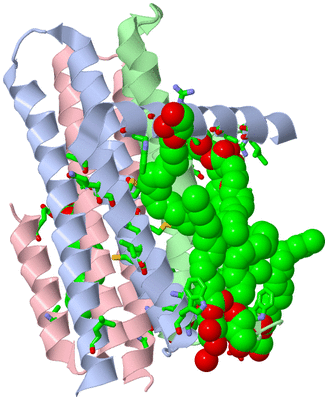 Image Biol. Unit 1 - sites