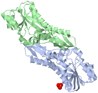 Image Biological Unit 1