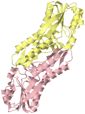 Image Biological Unit 2