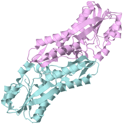 Image Biological Unit 3
