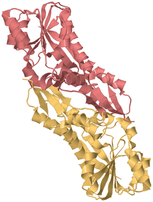 Image Biological Unit 4