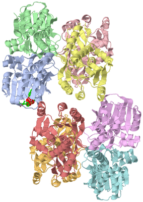 Image Asym. Unit - sites