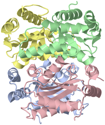 Image Asymmetric Unit