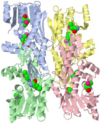 Image Asymmetric Unit