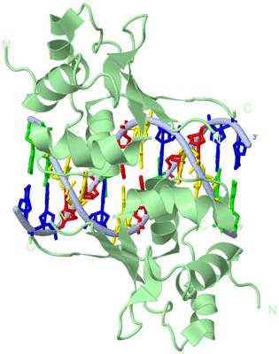 Image Biological Unit 1