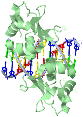 Image Biological Unit 1