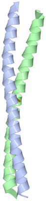 Image Asymmetric Unit