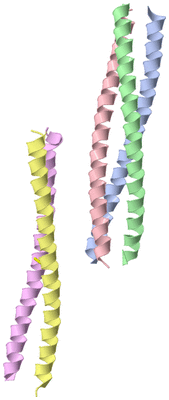 Image Asymmetric Unit