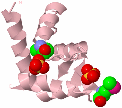 Image Biological Unit 3