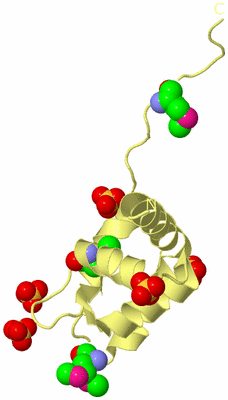 Image Biological Unit 4