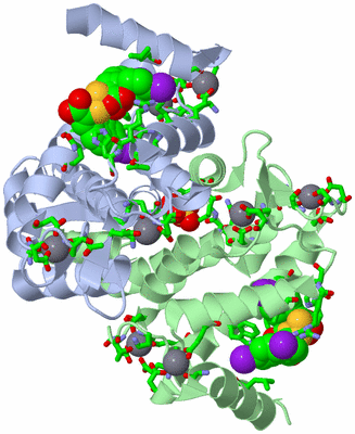 Image Asym./Biol. Unit - sites