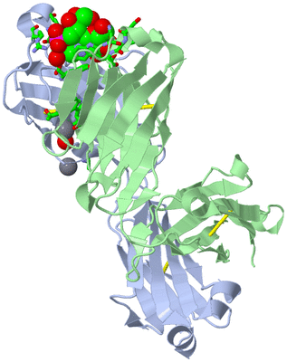 Image Biol. Unit 1 - sites