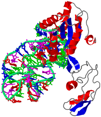 Image Asym./Biol. Unit