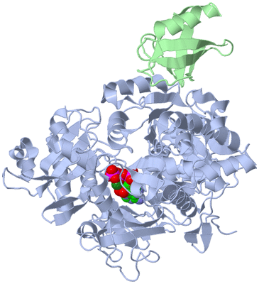 Image Asym./Biol. Unit