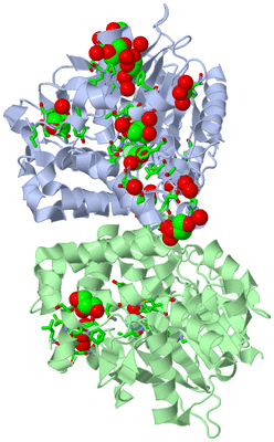 Image Biol. Unit 1 - sites