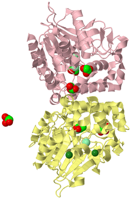 Image Biological Unit 2