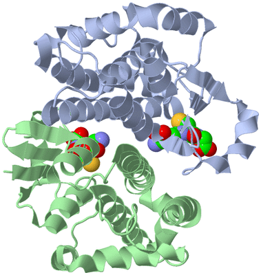 Image Asym./Biol. Unit