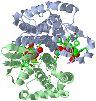 Image Asym./Biol. Unit - sites