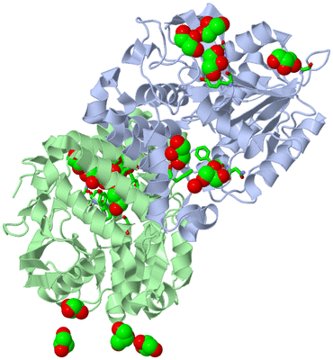 Image Asym./Biol. Unit - sites