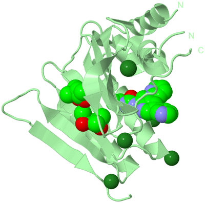 Image Biological Unit 2