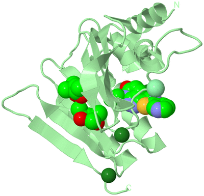 Image Biological Unit 2