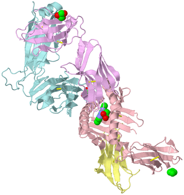 Image Biological Unit 2