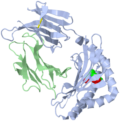 Image Biological Unit 1