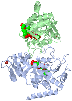 Image Asym./Biol. Unit