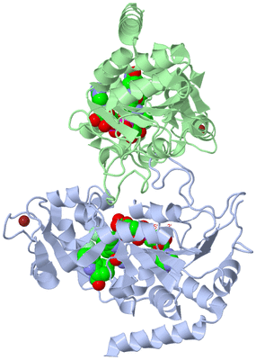 Image Asym./Biol. Unit