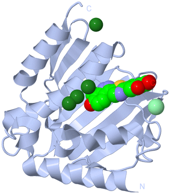 Image Biological Unit 1