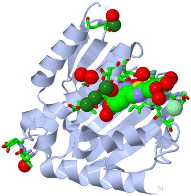 Image Biol. Unit 1 - sites