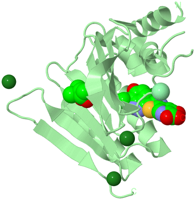 Image Biological Unit 2