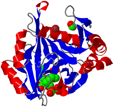 Image Asym./Biol. Unit