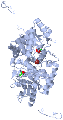 Image Biological Unit 1