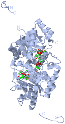 Image Biol. Unit 1 - sites