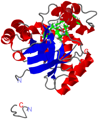 Image Asym. Unit - sites