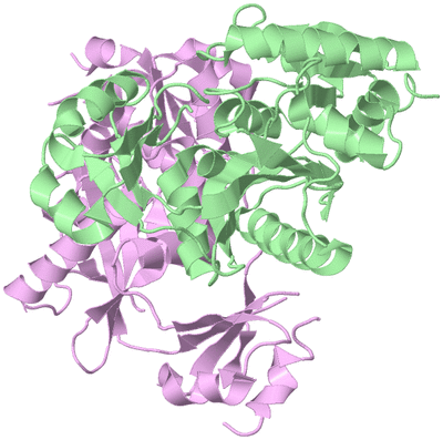 Image Biological Unit 2