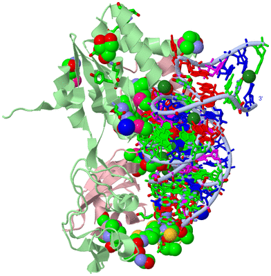 Image Asym./Biol. Unit - sites