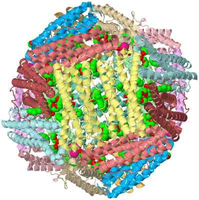 Image Biological Unit 1