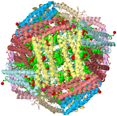 Image Biol. Unit 1 - sites