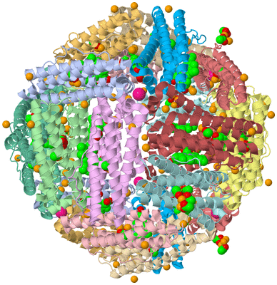 Image Biological Unit 1