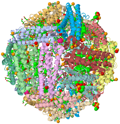 Image Biol. Unit 1 - sites