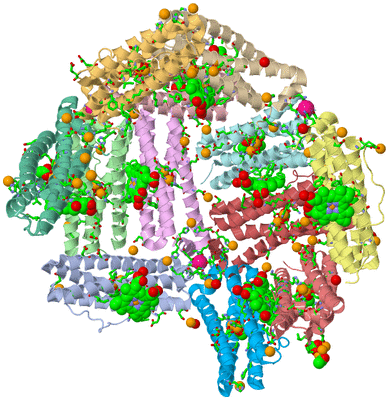 Image Asym. Unit - sites